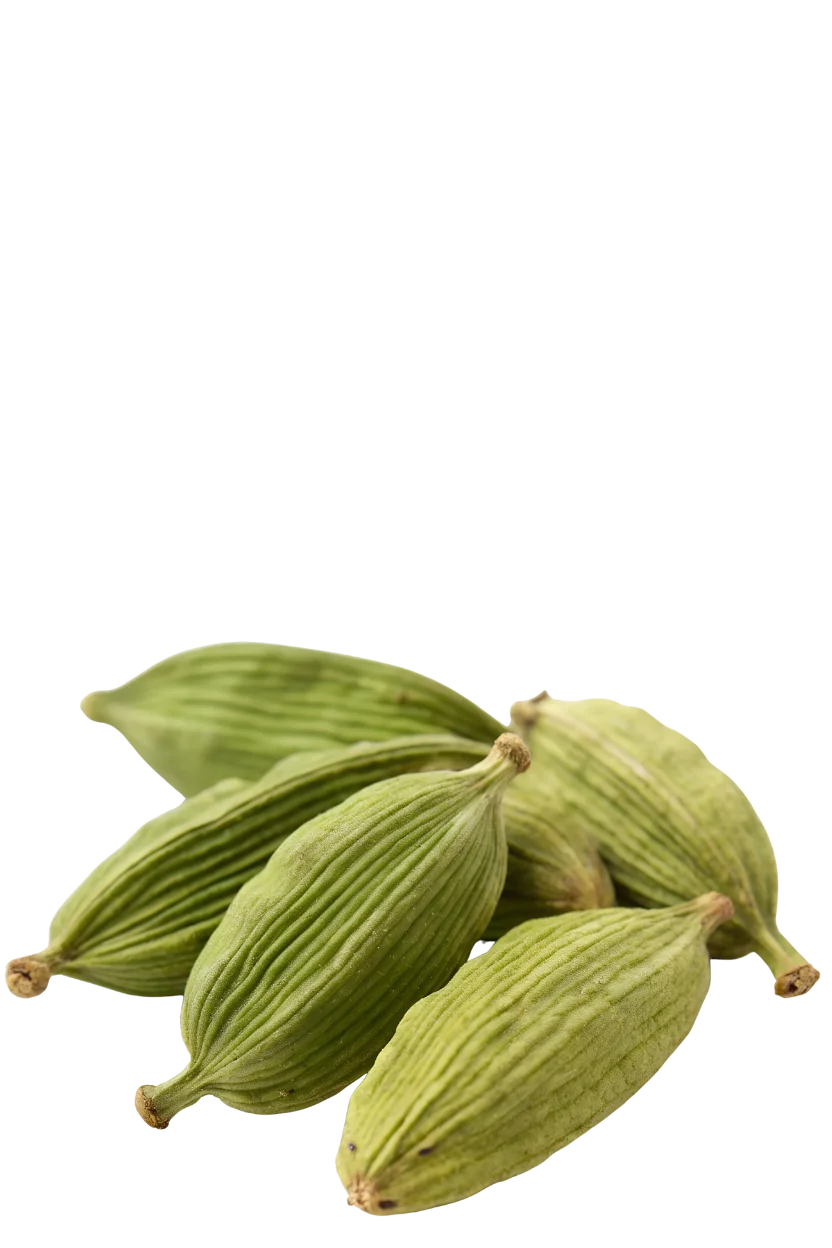 Velchi