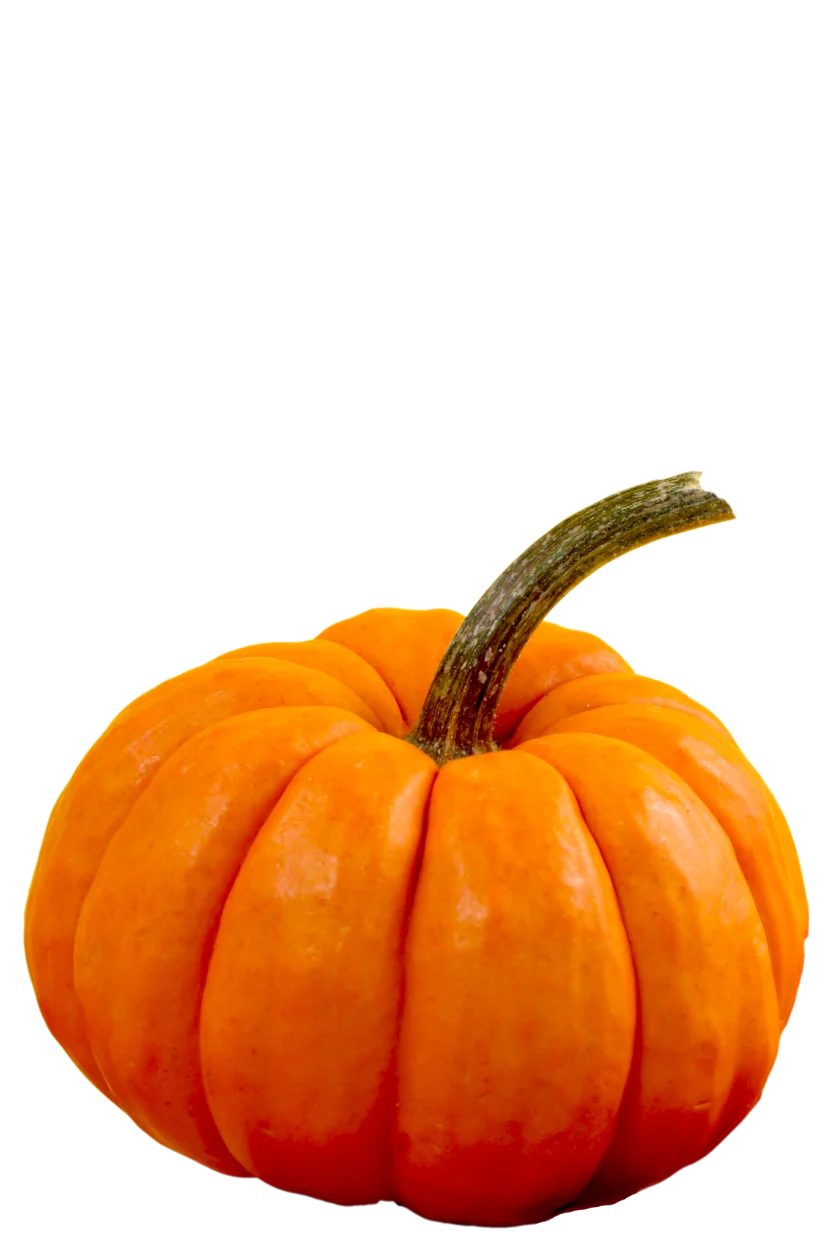 Red Pumpkin